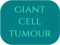 Benign Bone Tumour Surgery, Dr JS Virk Best Bone Tumour Surgeon, Best Bone Tumour Surgeon in Punjab, Bone Tumour Treatment in India